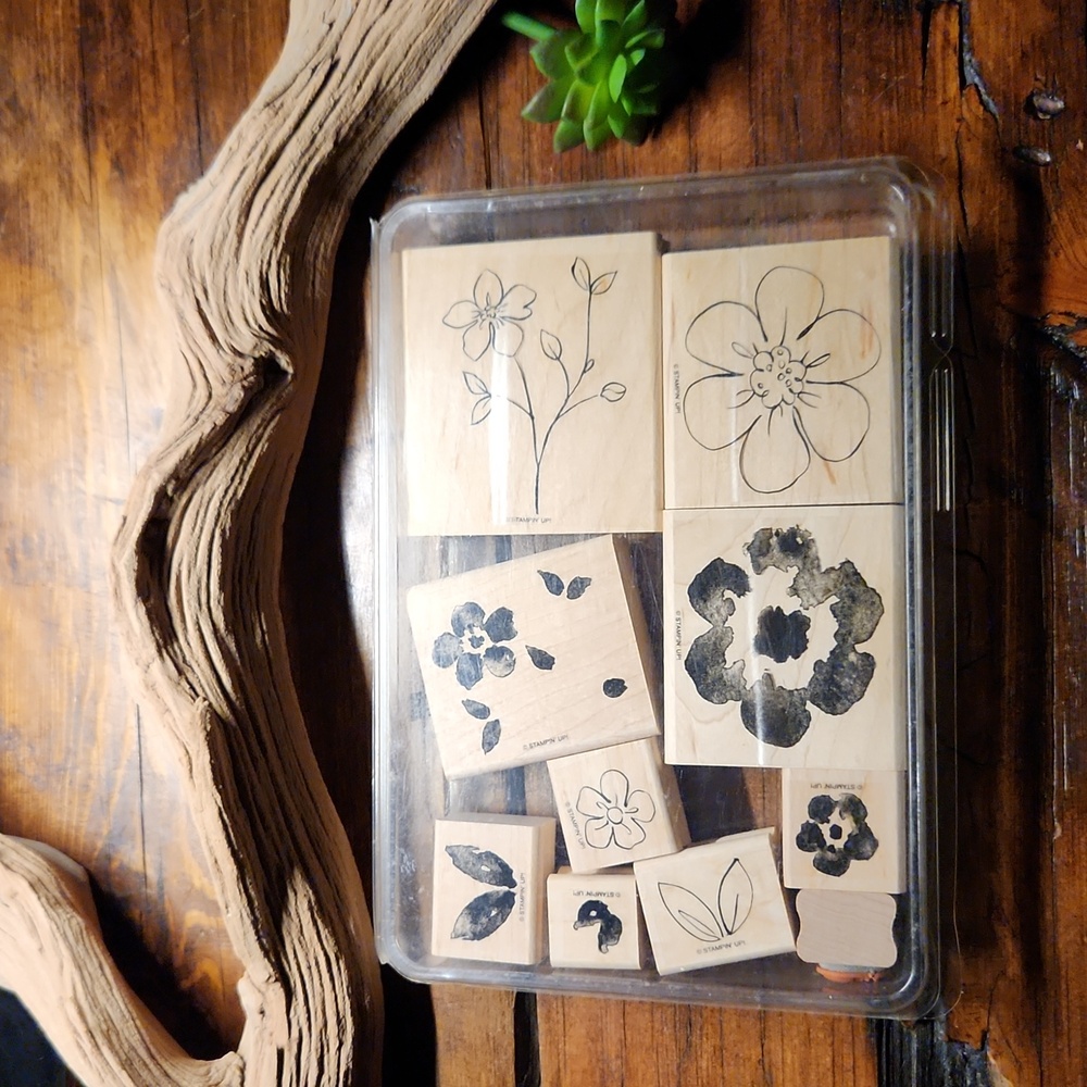 🎁Stampin Up - Two-Step Stampin Flower Fancy